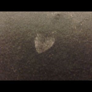 Meet your Posher, Sandy