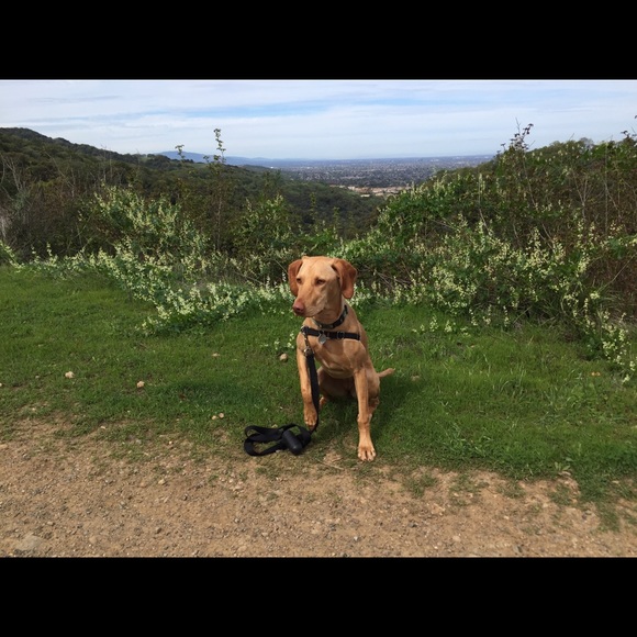 Meet your Posher, Jo - Picture 1 of 1