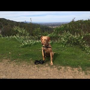 Meet your Posher, Jo