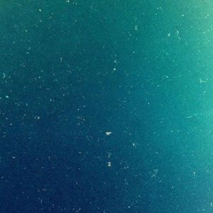 Meet your Posher, Rylan