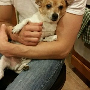 Meet your Posher, Bethany