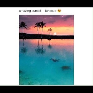 Meet your Posher, Lily