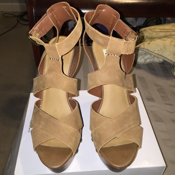 Steve Madden Seerius