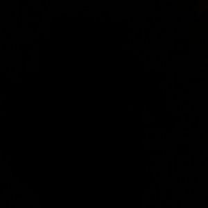 Meet your Posher, Alisha