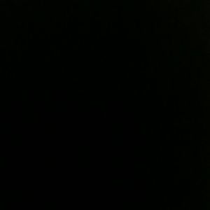 Meet your Posher, Zion