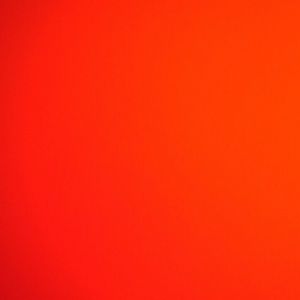 Meet your Posher, Lily