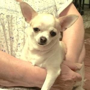 Meet your Posher, Leanne