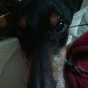 Meet your Posher, Julissa