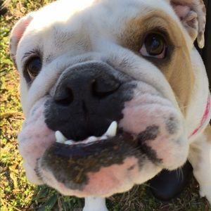 Meet your Posher, Bobbi