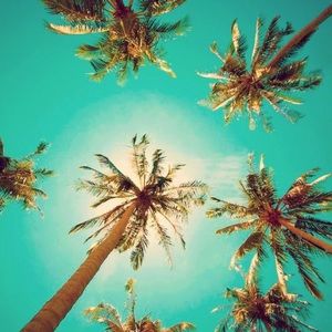 Meet your Posher, Mykelah