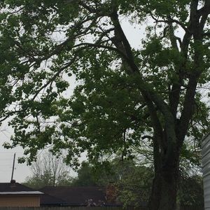 Meet your Posher, Judith