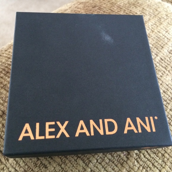 Silver Alex and Ani Bracelet