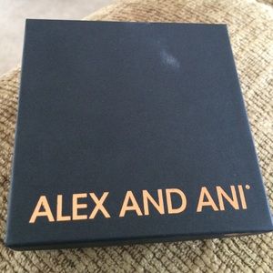Silver Alex and Ani Bracelet