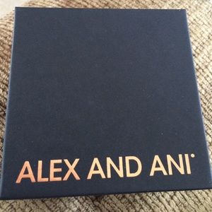 Silver Alex and Ani bracelet