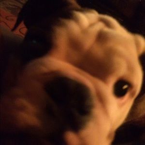 Meet your Posher, Kim