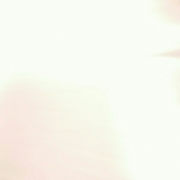 Meet your Posher, Rose