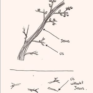 Meet your Posher, Venecia