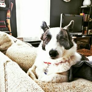 Meet your Posher, Bridgette