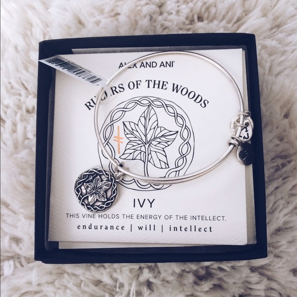 IVY ALEX AND ANI BANGLE