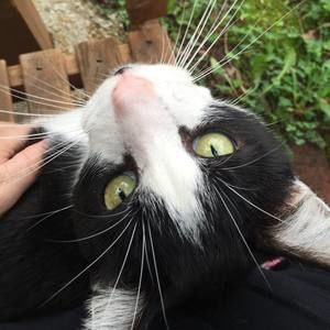 Meet your Posher, Janet