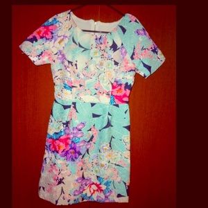 Lilly putlizer like dress