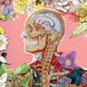 Meet your Posher, Paulina