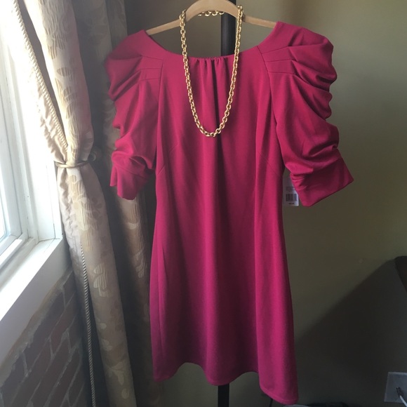 Jessica Simpson Rose 3/4 Ruche Sleeve Dress, NWT,8