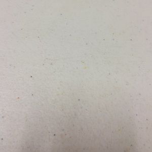 Meet your Posher, Molly