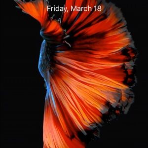 Meet your Posher, Tameka