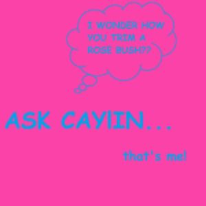 Meet your Posher, Caylin