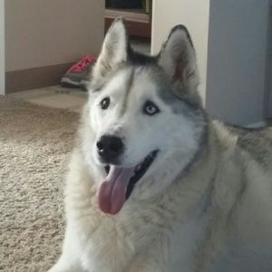 Meet your Posher, Heather