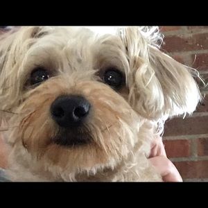 Meet your Posher, Cathy