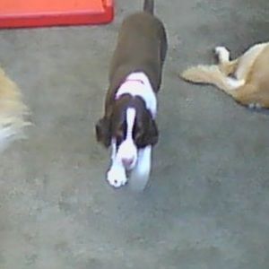 Meet your Posher, Luisa