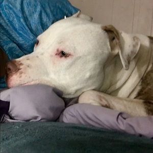 Meet your Posher, Jazmin