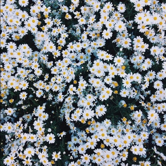 ON HOLD for @jdocloset :)