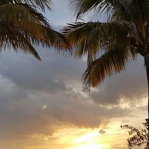 Meet your Posher, Maureen