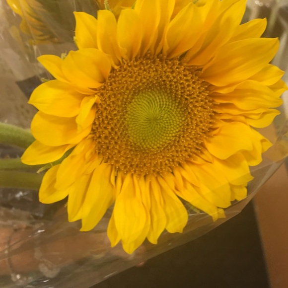 Meet your Posher, Agustina