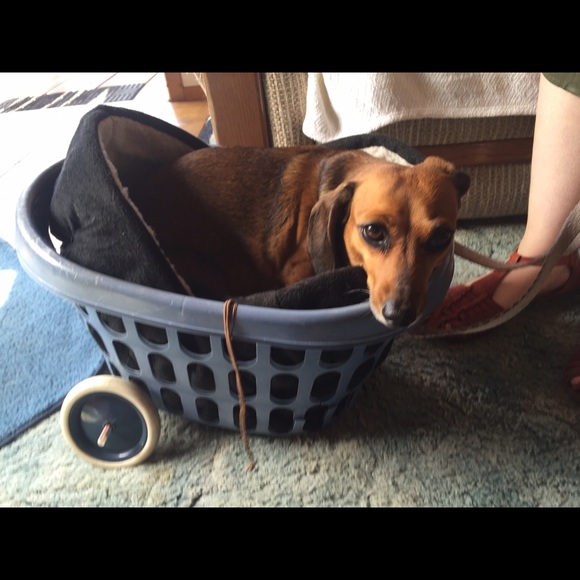 Meet your Posher, Camille