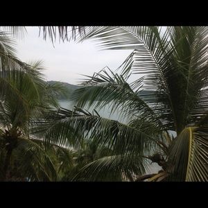 Meet your Posher, Lynne