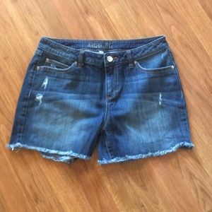 Jennifer Lopez Jean Shorts