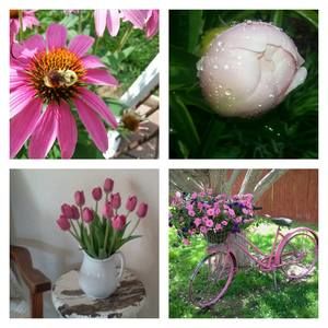 Meet your Posher, Debi