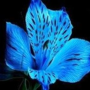 Meet your Posher, Jeannine