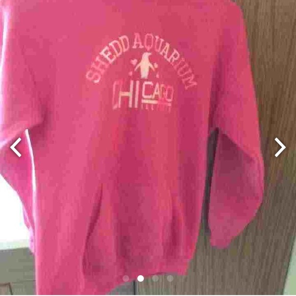 Shedd Aquarium of Chicago hoodie girls size L - Picture 2 of 4