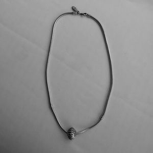 Authentic Pandora necklace & charm