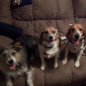 Meet your Posher, Valerie