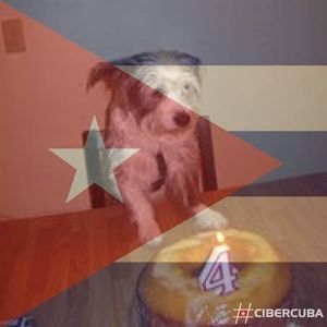 Meet your Posher, Elsa