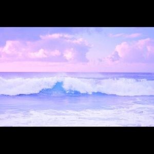 Meet your Posher, Rosa