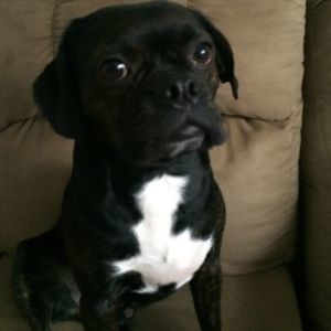 Meet your Posher, Stacey