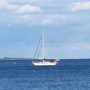 Meet your Posher, Tammy