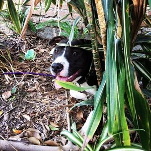 Meet your Posher, Mayra